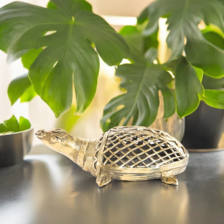Turtle || TGS-DK-002