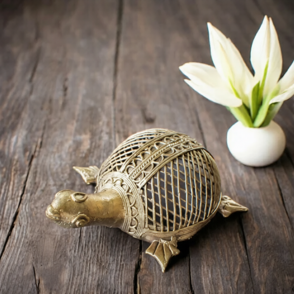 Turtle || TGS-DK-020